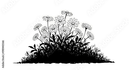 Black and white illustration of a bouquet of daisies on a with leaves and stems