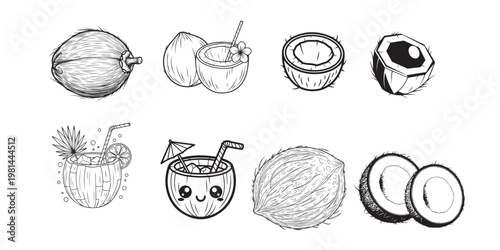Coconut illustrations a hand drawn collection of whole cracked and sectioned coconuts