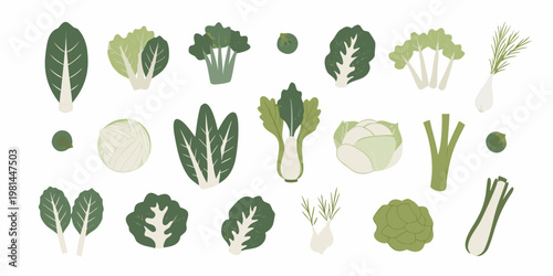 Variety of green vegetables illustrated in a simple flat design style