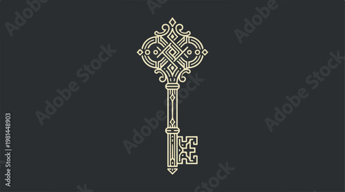 Old antique skeleton key.