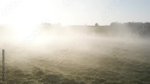 Misty Morning Over Green Landscape Field.