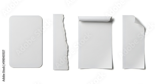 Various conditions of paper with different edges and folds