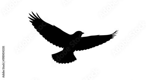 Silhouette of a bird flying.