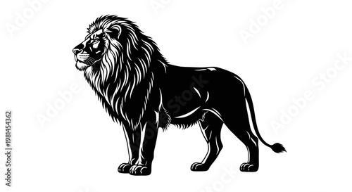 Black Lion Standing Sideways Profile View.