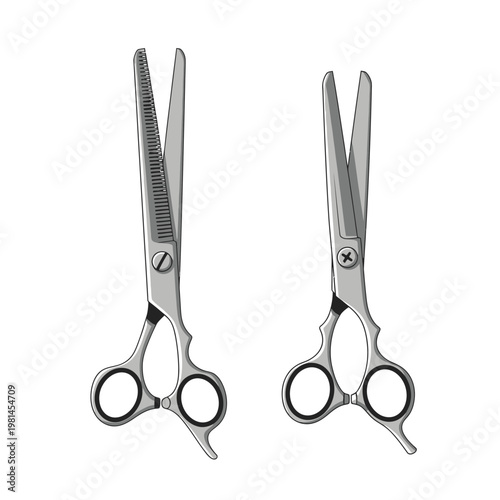 Professional Hairdressing Scissors Set: Barber Shears and Thinning Shears