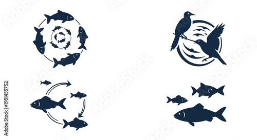 Fish and birds in circular motion.