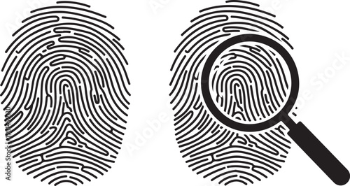 Detailed fingerprint identification vector with magnifying glass highlighting biometric security data and forensic investigation patterns.