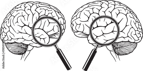 Pair of outlined human brains with magnifying glasses, concept of detailed mental examination and cognitive function research.