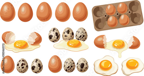 Egg Food Set with Whole Broken Fried and Quail Eggs Breakfast Ingredient Illustration Collection for Cooking and Kitchen Design