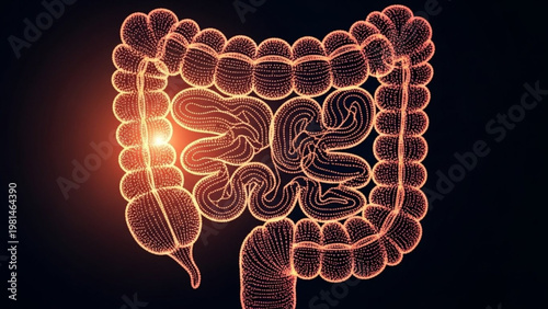 Abstract 3D digital illustration of the human intestines, depicting the complex gastrointestinal tract with a prominent glowing area, symbolizing potential internal health issues or disease