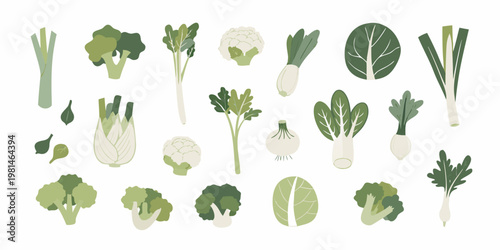 A colorful collection of various fresh green vegetables and leafy greens