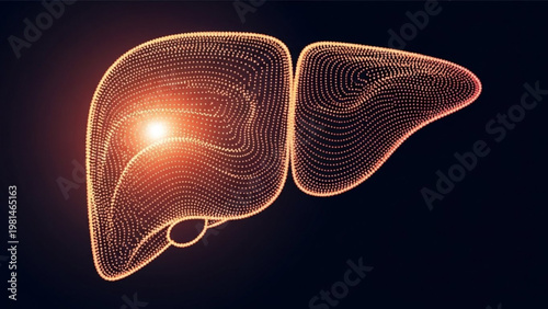 World Hepatitis Day Digital illustration of the human liver with a glowing spot, symbolizing medical innovation, scientific research, and advanced diagnostics in anatomical health and wellness
