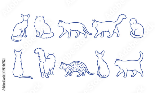 Set of blue line art cat illustrations with various breeds and poses.