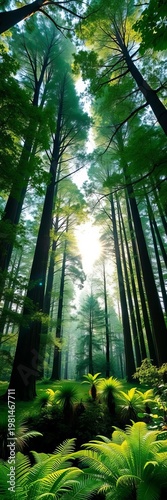 Towering trees with emerald canopies create a sense of awe, sunlight filtering down onto a fern-laden ground,  foliage,  ferns