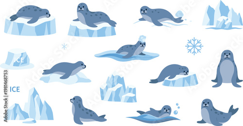 Arctic Seal Cartoon Set with Ice Floes Snowflakes and Marine Animals in Polar Ocean Wildlife Illustration Collection
