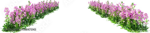 Flowers and shrubs in the garden on a transparent background.