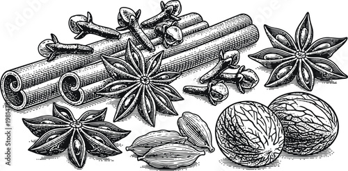 Aromatic spice assortment in detailed engraving style with cinnamon sticks star anise cloves cardamom and nutmeg