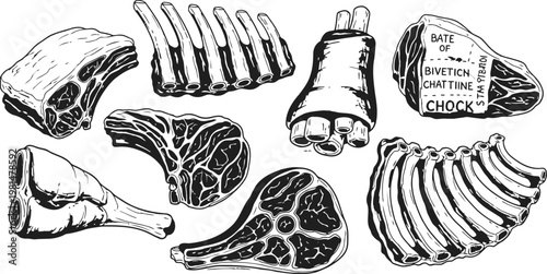 Assorted Raw Meat Cuts in a Detailed Engraving Style Vector Illustration