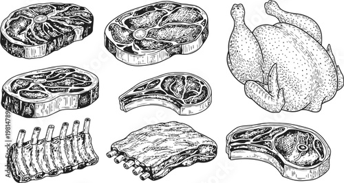 Assortment of Raw Meat Cuts and Whole Chicken in Vintage Engraving Style