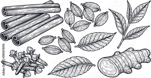 Assortment of Spices and Herbs Including Cinnamon Cardamom Cloves Ginger and Tea Leaves in a Detailed Engraving Style
