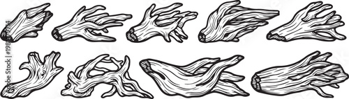 Intricate line drawing of various animal paws and claws Vector