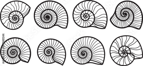 Intricate geometric patterns in symmetrical mandala designs Vector