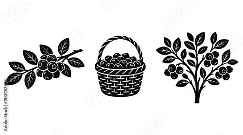 Set of black and white vector illustrations of blueberries and baskets.