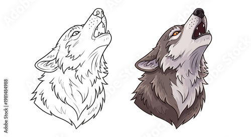 Wolf Howling, Line Art and Colored Illustration Comparison