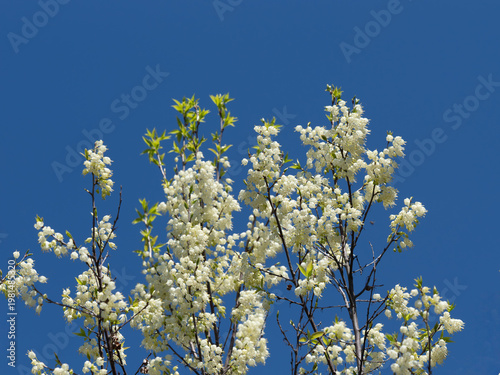 青空背景のハレシア・マクグレゴリー