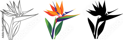 Tropical ocean waves with palm trees and sunset vector background.