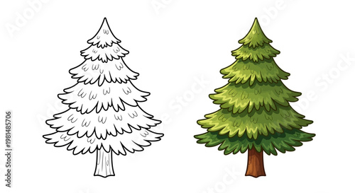 Christmas Tree Drawing and Coloring Page, Outline and Colored Evergreen Pine Tree