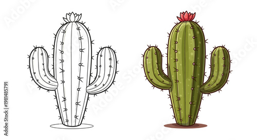 Saguaro Cactus Line Art and Color Illustration Comparison