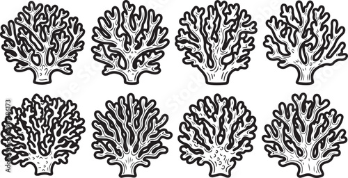 Black and white illustrations of various types of flowers in bloom Vector