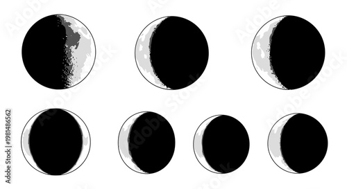 Phases of the Moon: Astronomical Illustration of Lunar Cycle