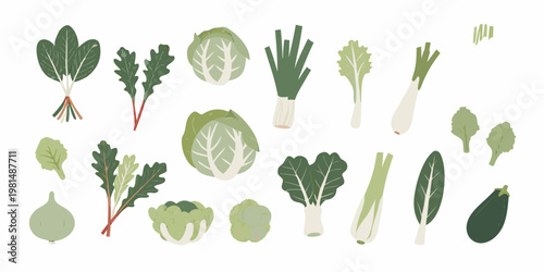 A collection of illustrated leafy green vegetables and fresh produce