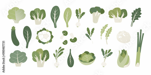 Collection of various green leafy vegetables and some root vegetables