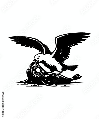 Aggressive predatory bird with large wings attacks and consumes a helpless seal in this black and white illustration