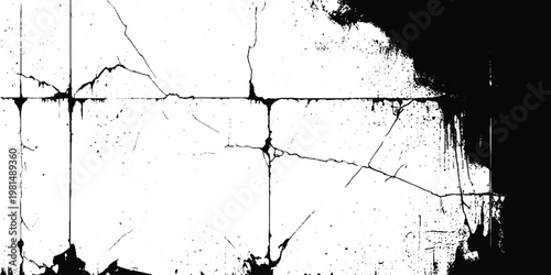 Dry land crack texture for environmental overlay. 