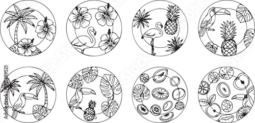 Detailed line drawings of human brain anatomy in cross-section Vector