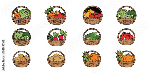 Vegetable baskets illustration various fresh crops harvest season organic healthy food