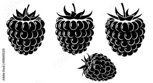 Black and White Silhouette of Four Ripe Raspberries
