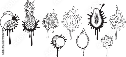 Various types of mushrooms illustrated in a detailed botanical style Vector