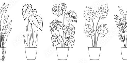 Stylized illustration of various monstera and tropical leaf plants in pots