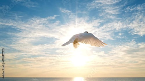 Bird in flight soaring over serene ocean at sunrise with clear blue sky