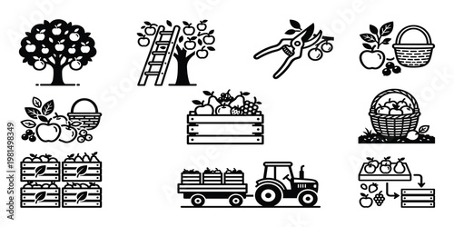 Collection of orchard and harvest icons showing apple tree ladder harvest baskets tractor and crates