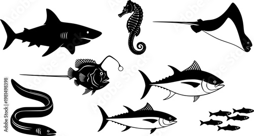 Collection of Silhouettes of Various Marine Animals Including a Shark, Seahorse, Ray, Anglerfish, Tuna, Eel, and Sardine.
