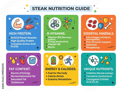 Playful modern vector infographic detailing the comprehensive nutritional benefits and health contributions of a meat serving.