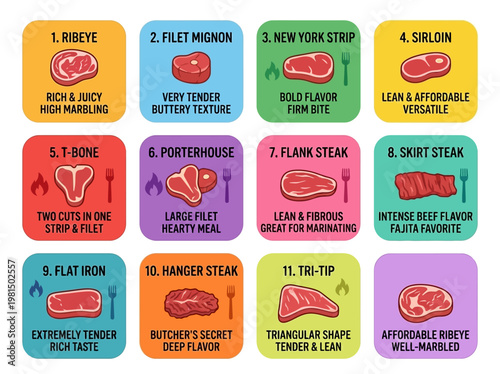 Modern flat vector infographic guide illustrating and categorizing popular beef steak cuts, detailing culinary characteristics for meal planning.