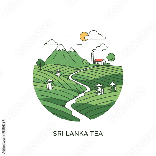 Sri Lanka Tea Plantation Landscape with Workers.