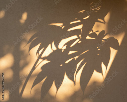 Tropical plant shadow with warm sunlight on textured wall minimalist aesthetic background
